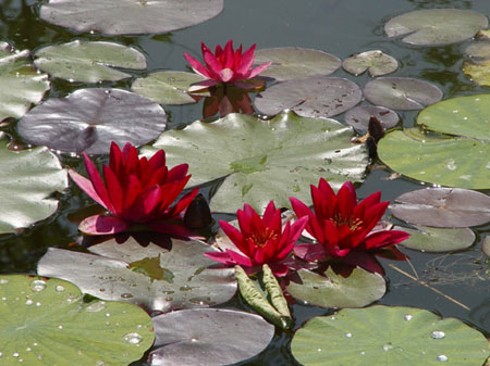 foto agriturismo monte vento