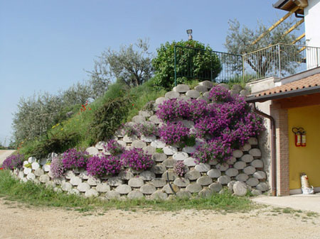 foto agriturismo monte vento