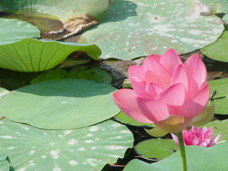 foto agriturismo monte vento